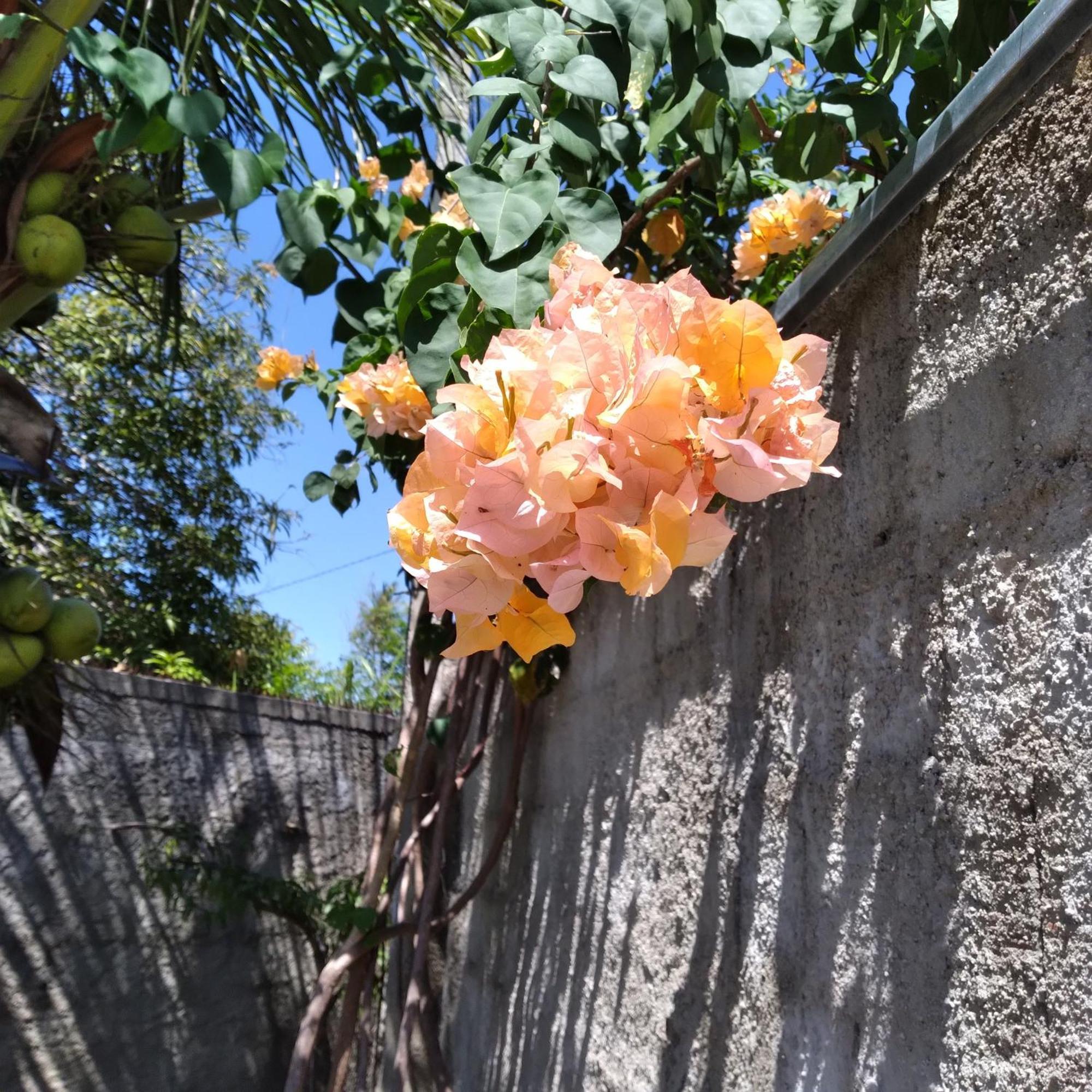 Casa China & Silva, Otima Casa Para Praia Ou Descanso, Proximo As Dunas Da Sabiaguaba E Shoppings Em Eusebio E Fortaleza Ce Dış mekan fotoğraf